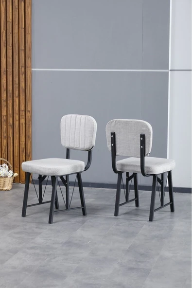 Hayat Serisi Mutfak Sandalyesi, Yemek, Bahçe, Kafe, Modern Sandalye 2 Adet - Açık Gri