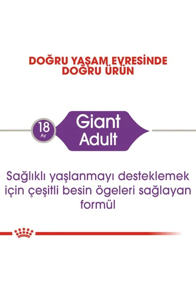 Dog Shn Giant Adult Köpek Maması 15 Kg - 3