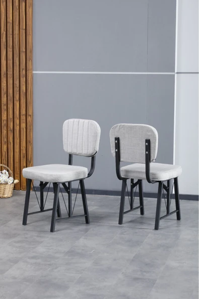 Hayat Serisi Mutfak Sandalyesi, Yemek, Bahçe, Kafe, Modern Sandalye 4 Adet - Açık Gri