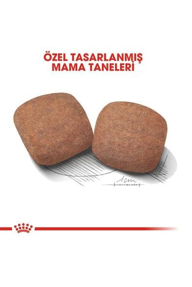 Dog Shn Giant Adult Köpek Maması 15 Kg - 4