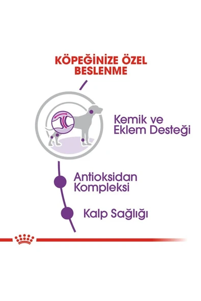Dog Shn Giant Adult Köpek Maması 15 Kg