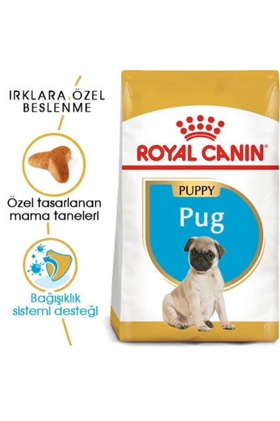 Pug Puppy Yavru Köpek Maması 1,5 Kg - 2