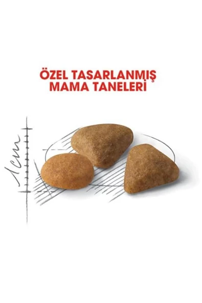 ® Savour Exigent Seçici Kedilere Özel Yetişkin Kedi Maması 2 Kg - 4
