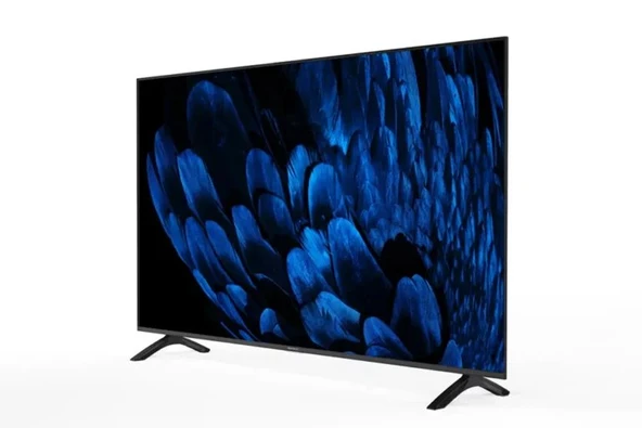 SUNNY SN50FMN252-0276  127 Ekran Uydu Alıcılı webOS Smart LED TV - 2