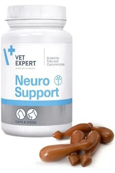 Expert Neuro Support