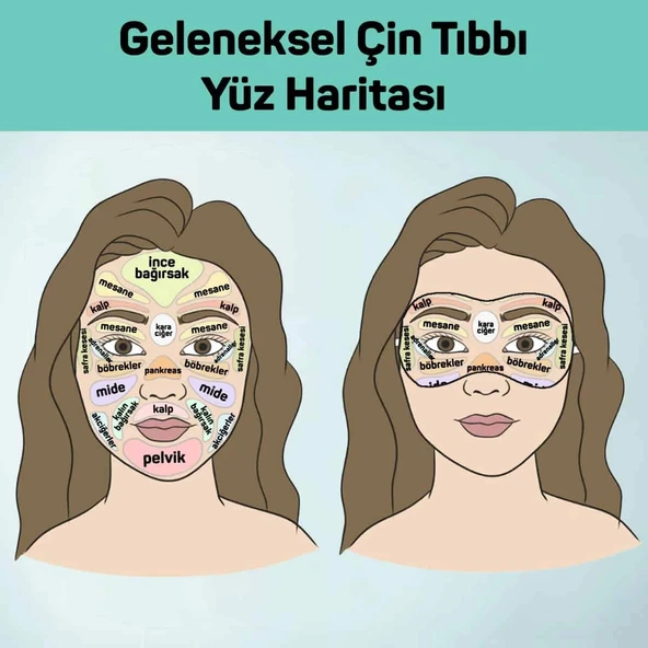 Tiroid ve Göz Hint Yağı Sargı Bezi - 3