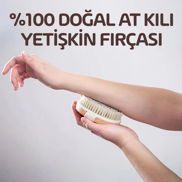 Doğal At Kılı Fırçası - 2