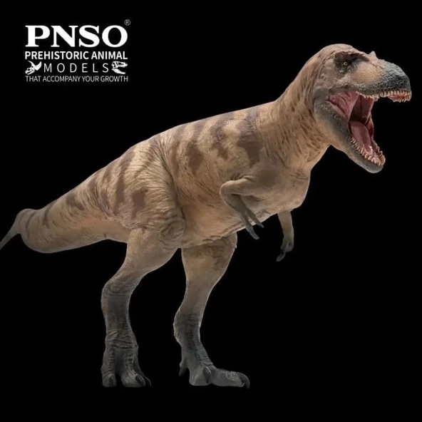 PNSO Prehistorik Dinozor Modelleri-68 - 6
