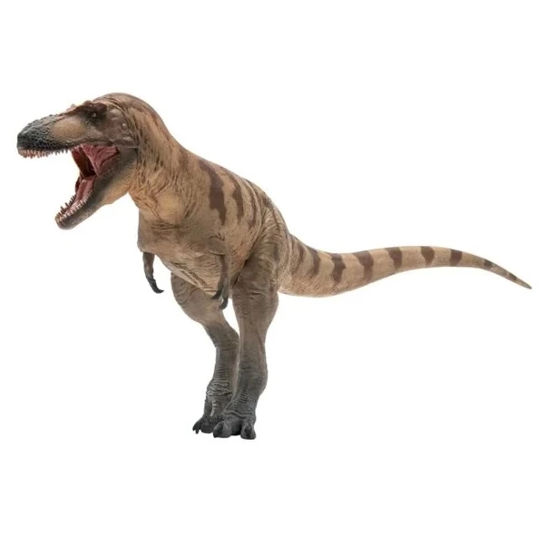 PNSO Prehistorik Dinozor Modelleri-68 73 Cole the Daspletosaurus