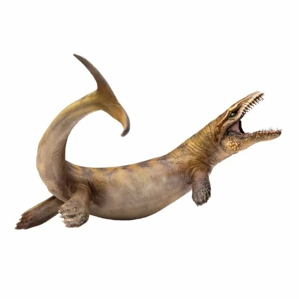PNSO Deniz Müzesi-Jeff The KRONOSAURUS