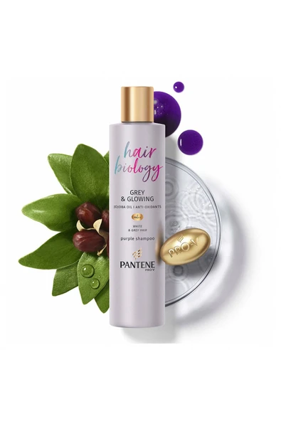Pantene Hair Biology Turunculaşma Karşıtı Silver/ Mor Şampuan Sarı Saçlar İçin 250 ml - Resim 2