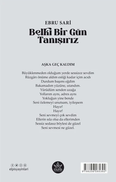 Belki Bir Gün Tanışırız  -  Ebru Sari  -  Elpis Yayınları  - - Resim 2