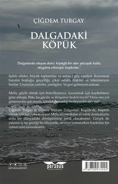 Dalgadaki Köpük - Çiğdem Turgay, Perseus Yayınevi, - Resim 2