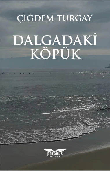 Dalgadaki Köpük - Çiğdem Turgay, Perseus Yayınevi,