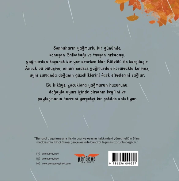 Yağmurlu Bir Gün- Tennur Shetye- Perseus Yayınevi- - 2