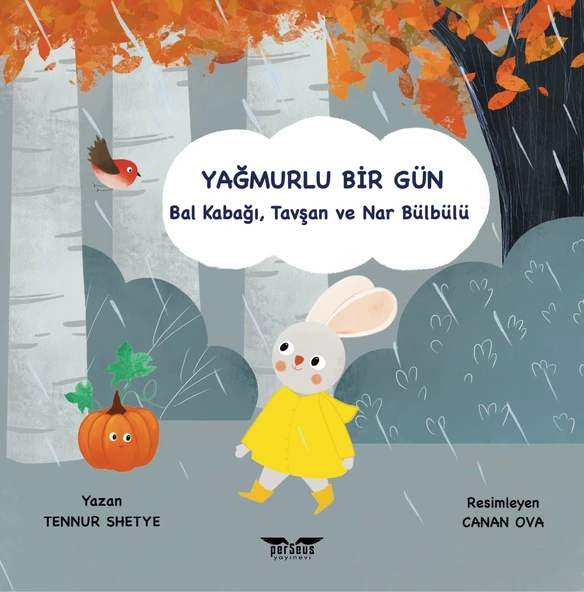 Yağmurlu Bir Gün- Tennur Shetye- Perseus Yayınevi-