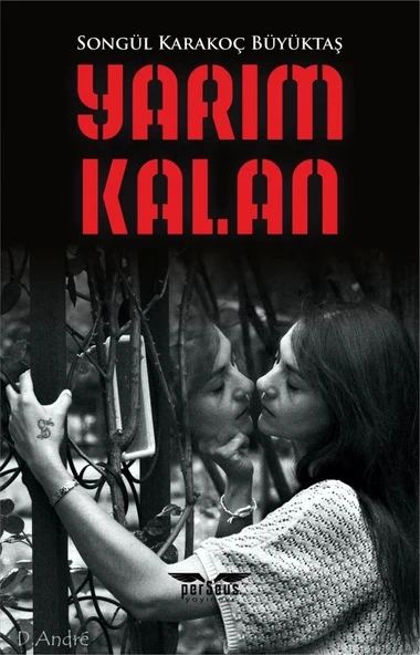 Yarım Kalan  -  Songül Karakoç Büyüktaş  -  Perseus Yayınevi  - ürün görseli