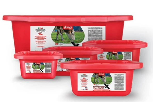 Hs Tarım Revijel Energy Vitamin-İz mineral Giderici Yalama Bloğu 5 KG