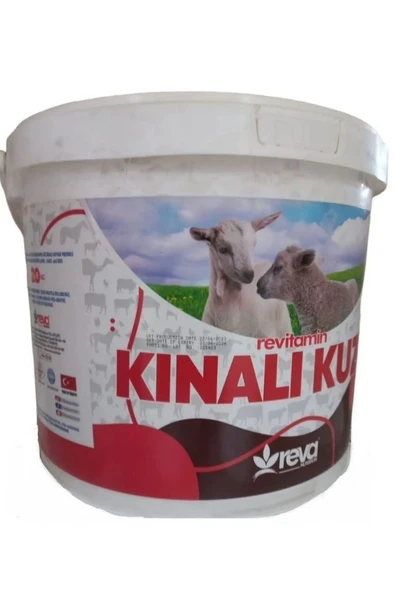 Hs Tarım Revitamin Kınalı Kuzu Koyun Keçi Kuzu ve Buzağı Hayvan Yem Katkı 20 KG Kova - 2