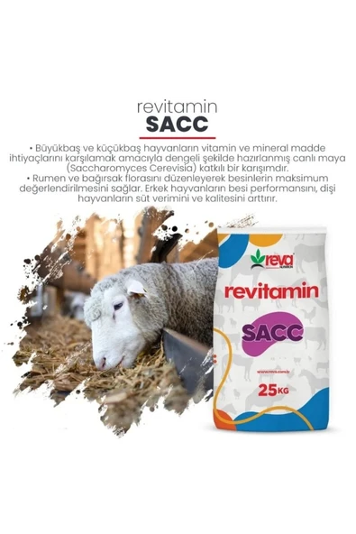 Hs Tarım Revitamin Sacc - İştah Açıcı , Geçiş Dönemleri Hayvan Yem Katkı 25 KG Kraft - 4