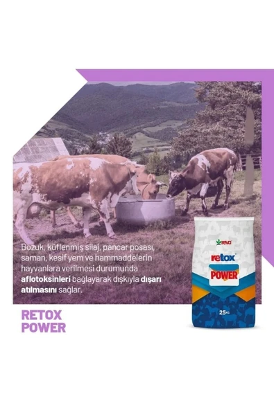 Hs Tarım Retox Power Verim Düşüklüğü için Hayvan Yem Katkı 25 kg Kraft - 7