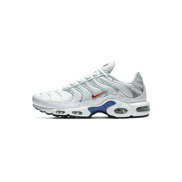 Air Max Plus Euro Tour Particle Grey - Resim 2