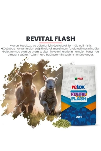 Hs Tarım Revital Flash Küçükbaş Hayvanlar İçin Verim Arttırıcı Yem Katkı - 20kg - 4