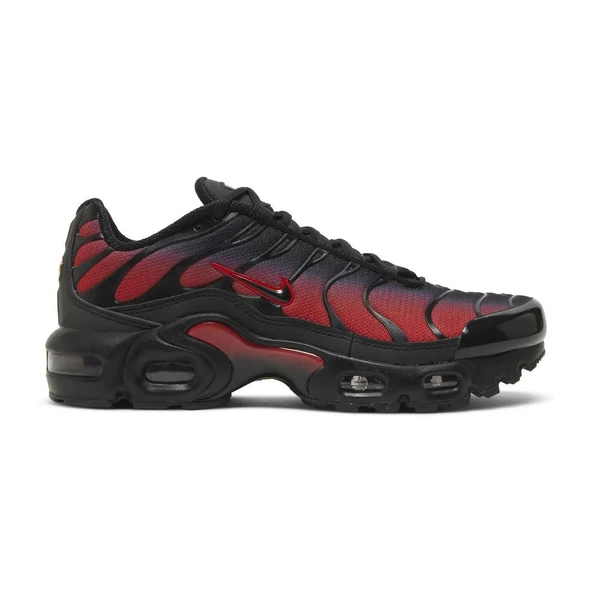 Air Max Plus Bred Gradient