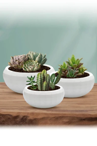 Omnipazar KRS-610 Dekoratif Küçük Aranjman Kaktus Sukulent Saksı 0.7 Litre - Resim 3