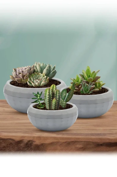 Omnipazar KRS-610 Dekoratif Küçük Aranjman Kaktus Sukulent Saksı 0.7 Litre - Resim 7