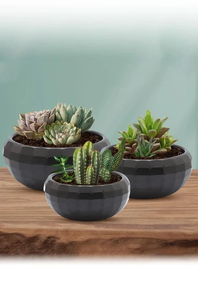 Omnipazar KRS-610 Dekoratif Küçük Aranjman Kaktus Sukulent Saksı 0.7 Litre - Resim 11