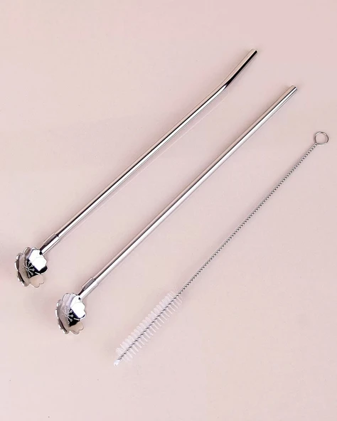 Paslanmaz Metal 2 Li Kaşıklı Pipet Fırça Seti - 4