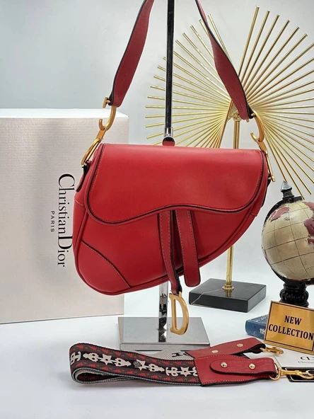 CHRISTIAN DIOR SADDLE BAG 21/19 CM (11)
