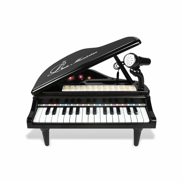 Bao-1504b 31 Tuşlu Mini Piano Mp3 -vardem - 3