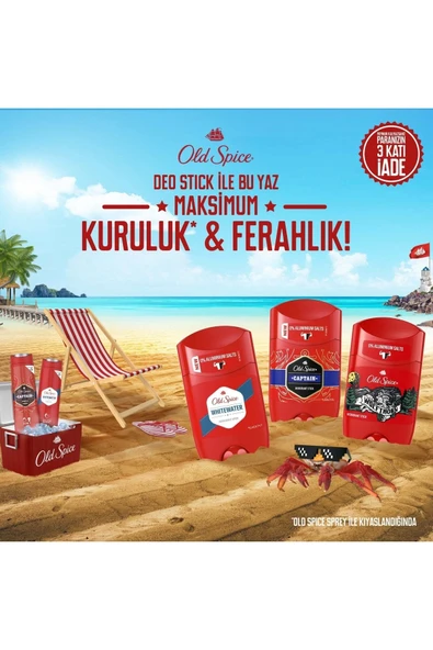 OLD SPICE WOLFTHORN DEO STICK 50 ML - 4