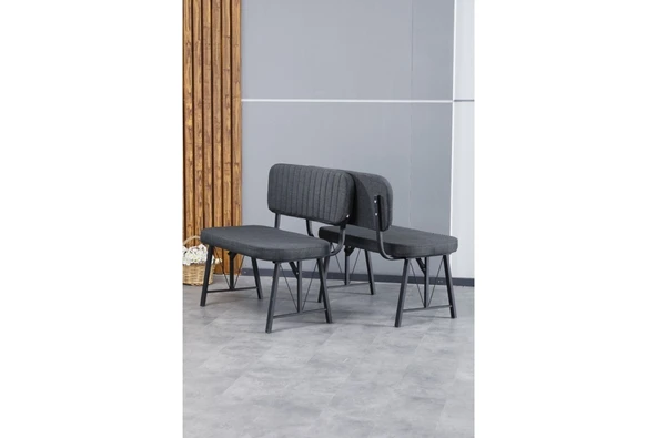 Hayat Serisi Mutfak, Yemek, Bahçe, Kafe, Modern Bench, Puf, 2 Adet - Antrasit