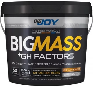 Bigjoy Sports BIGMASS Gainer GH FACTORS Çikolata 5000g