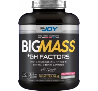 Bigjoy Sports BIGMASS Gainer GH FACTORS Çilek 3000g