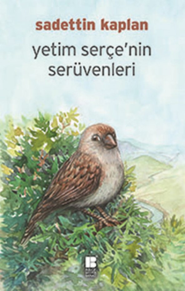 Yetim Serçenin Serüvenleri