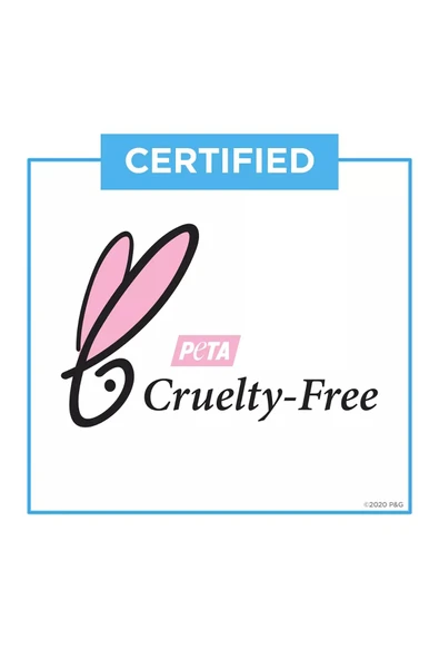 Secret Invisible Solid Powder Fresh Stick Deodorant 73GR - 6