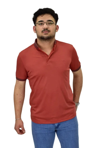 Erkek Polo Yaka Merserize Tişört T3000 BGL-ST04533 - Resim 3