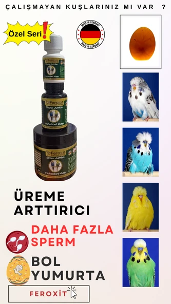 Show-Jumbo-Kızıştırıcı -E vitamini-Üreme Arttırıcı Muhabbet Kuşlarına Özel Seri 300 Gr - 6