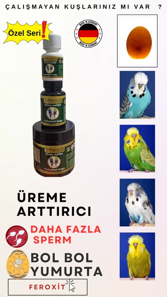 Show-Jumbo-Kızıştırıcı -E vitamini-Üreme Arttırıcı Muhabbet Kuşlarına Özel Seri 300 Gr - 5