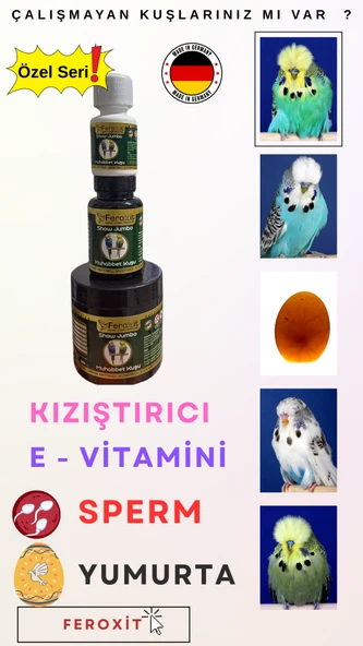 Show-Jumbo-Kızıştırıcı -E vitamini-Üreme Arttırıcı Muhabbet Kuşlarına Özel Seri 300 Gr - 4