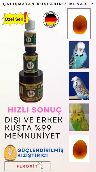 Show-Jumbo-Kızıştırıcı -E vitamini-Üreme Arttırıcı Muhabbet Kuşlarına Özel Seri 20 Gr - 4