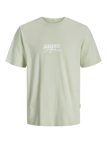 JORALMERIA BRANDING TEE SS CREW NECK Celadon Tint Celadon Tint L - Resim 2
