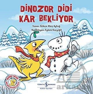 Dinozor Didi Kar Bekliyor - Gökçe Ateş Aytuğ