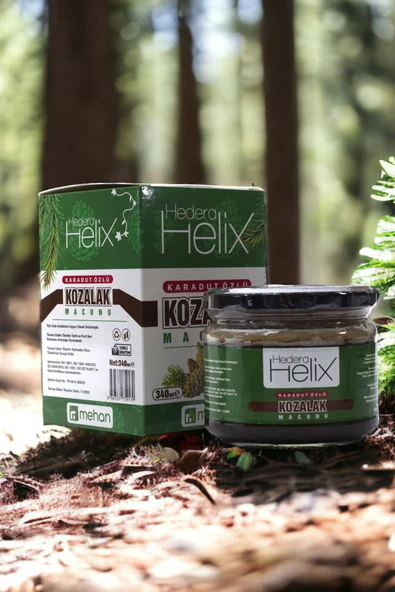Karadut Özlü Çam Kozalak Macunu Bitkisel Karışım Propolis Keçi Boynuzu Çörek Otu 340 ml Cam Kavanoz - 2