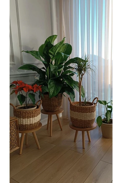 3'lü Ahşap Ayaklı Çiçeklik Saksılık Standı Dekoratif Yan Sehpa Seti 25 Cm Çap Atlantik Çam