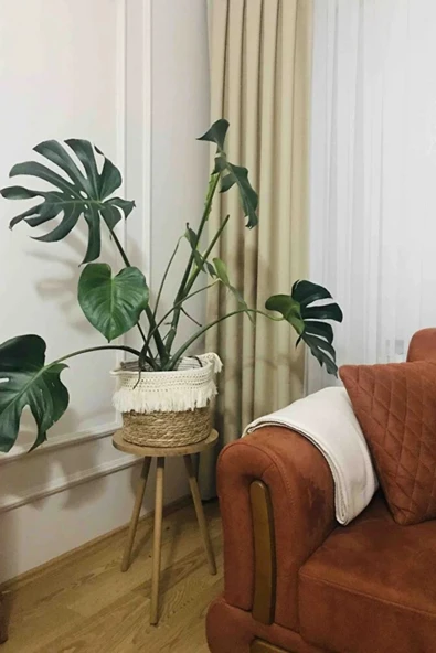 Tekli Yan Sehpa Çiçeklik Saksılık Standı Dekoratif Yan Sehpa Seti Ahşap Ayaklı (33 CM ÇAP) - 2